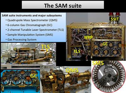 In situ organic biosignature detection techniques for space applications